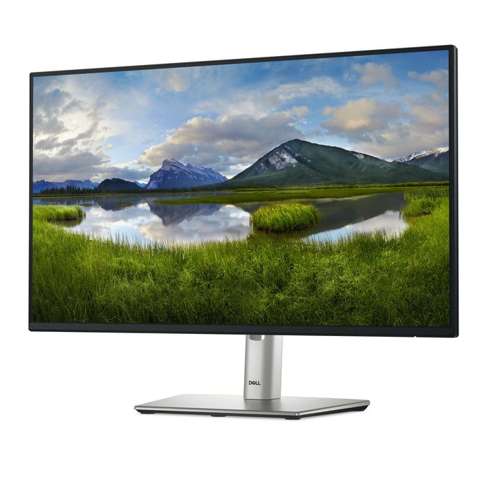 DELL P Series P2425H computer monitor 61 cm (24") 1920 x 1080 pixels Full HD LCD Black