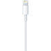 Apple Lightning - USB Kabel 1M Retail