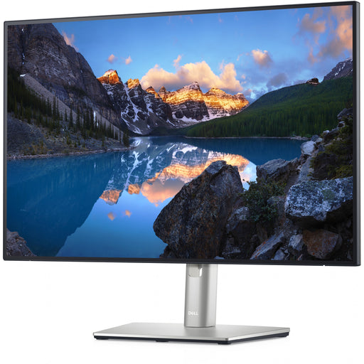 13cm/24'' (1920x1200) Dell UltraSharp U2421E 210-AXMB 16:10 5ms HDMI 2xDisplayPort USB-C VESA Pivot WUXGA Silver