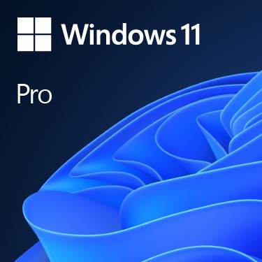 Software - Microsoft Windows 11 Pro 64bit (DE)