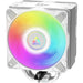 K Cooler Arctic Freezer 36 A-RGB White