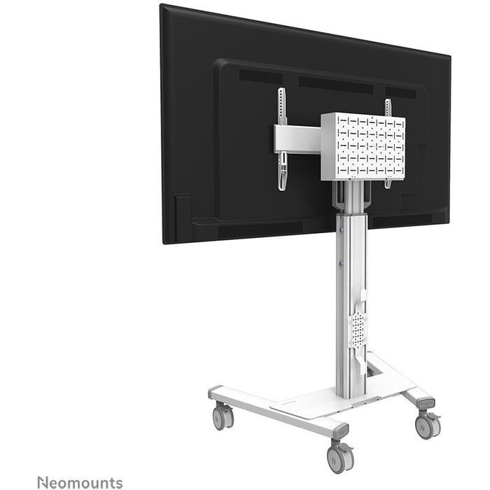 Neomounts FL50S-825WH1 mobiler Bodenständer für 37-75" Bildschirme - Weiß