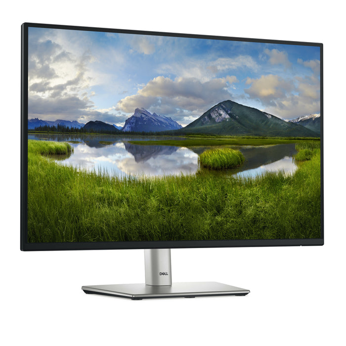 DELL P Series P2425E computer monitor 61.1 cm (24.1") 1920 x 1200 pixels WUXGA LCD Black