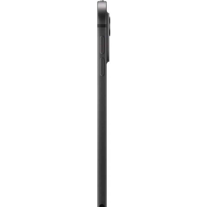Apple iPad Pro 11 Wi-Fi 1TB Nanotexturglas space schwarz (5.Gen.)
