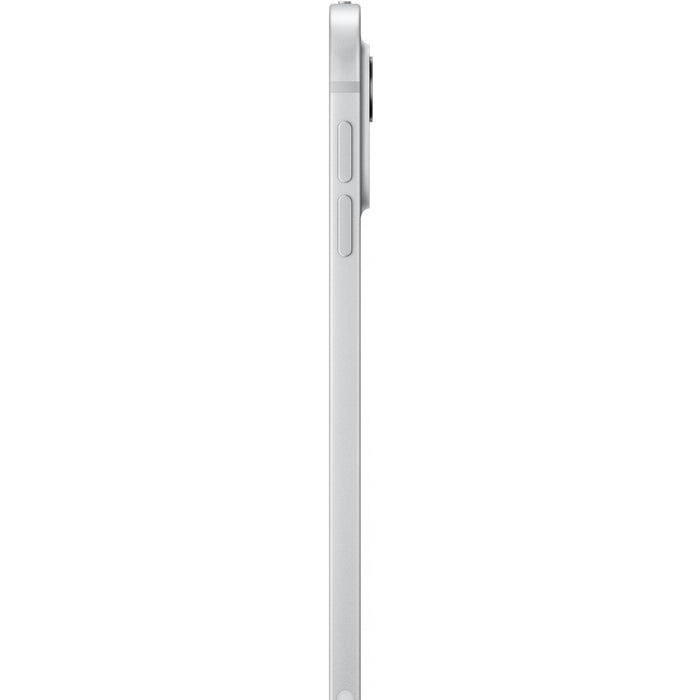 Apple iPad Pro 11 Wi-Fi + Cellular 1TB Nanotexturglas silber (5.Gen.)