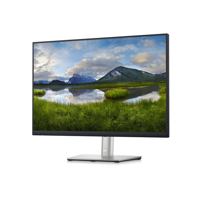 DELL P Series 24 Monitor - P2423